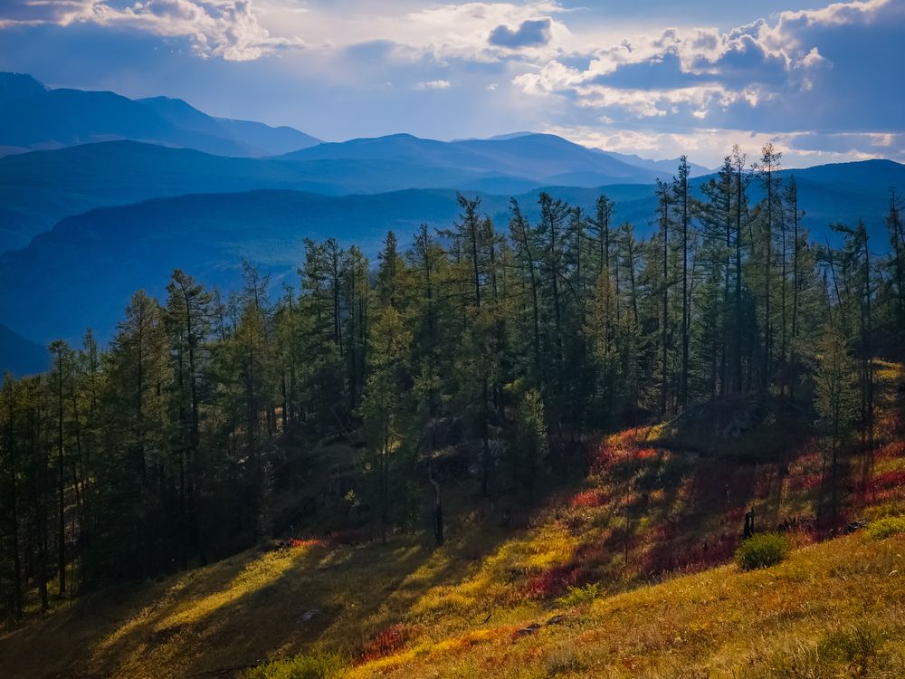 В горах Алтая