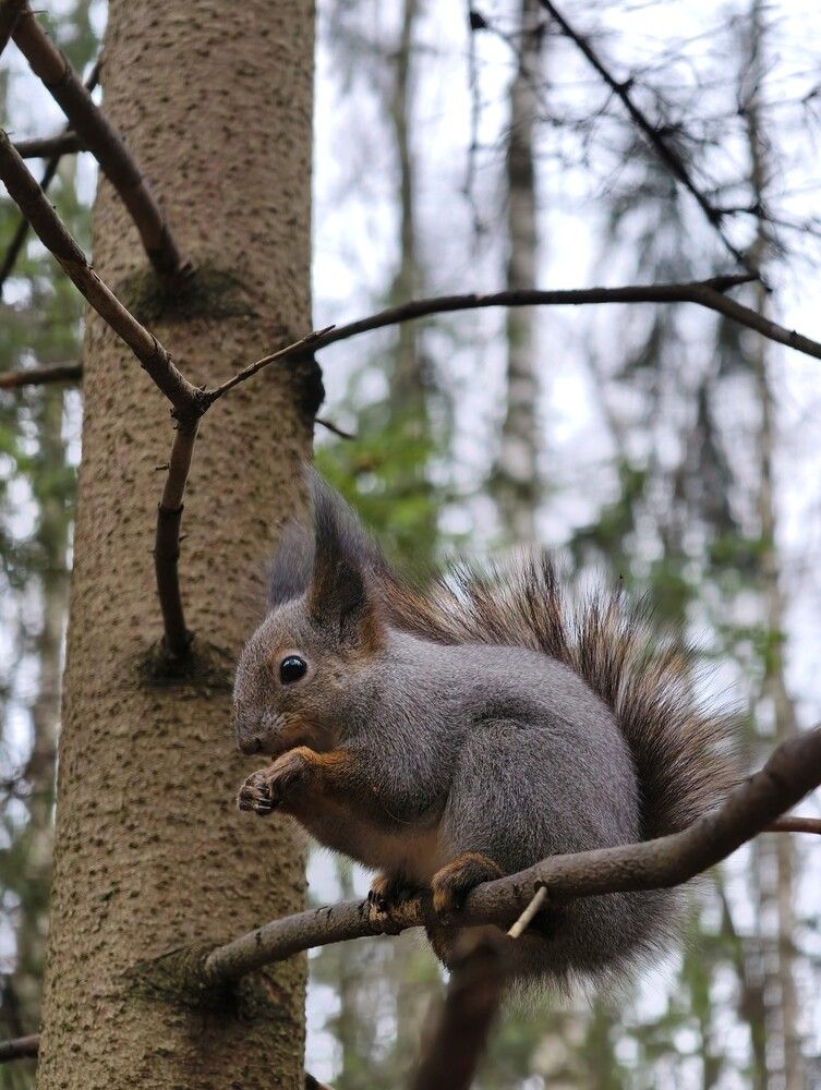Photograph by Галина Бессуднова
