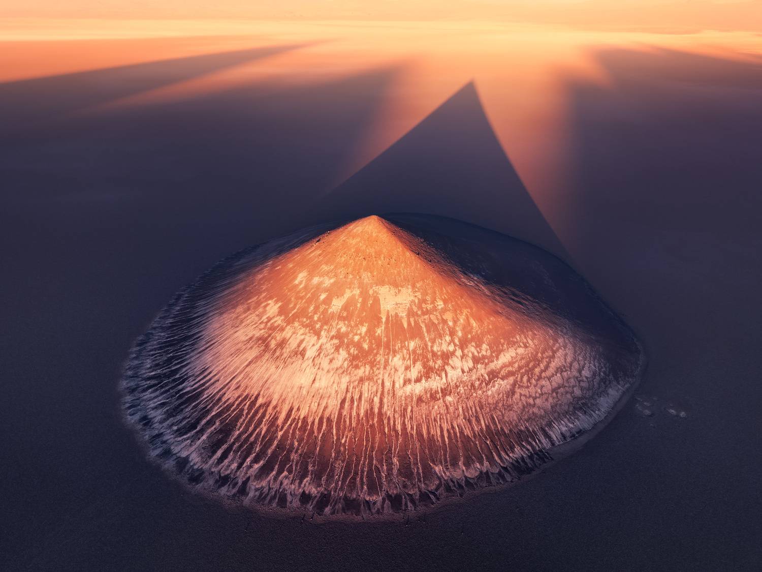 The Perfect Silence of Arita The Perfect Silence of Arita