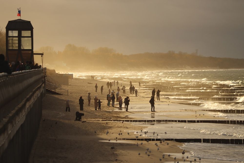 Photograph by Olga Bokareva