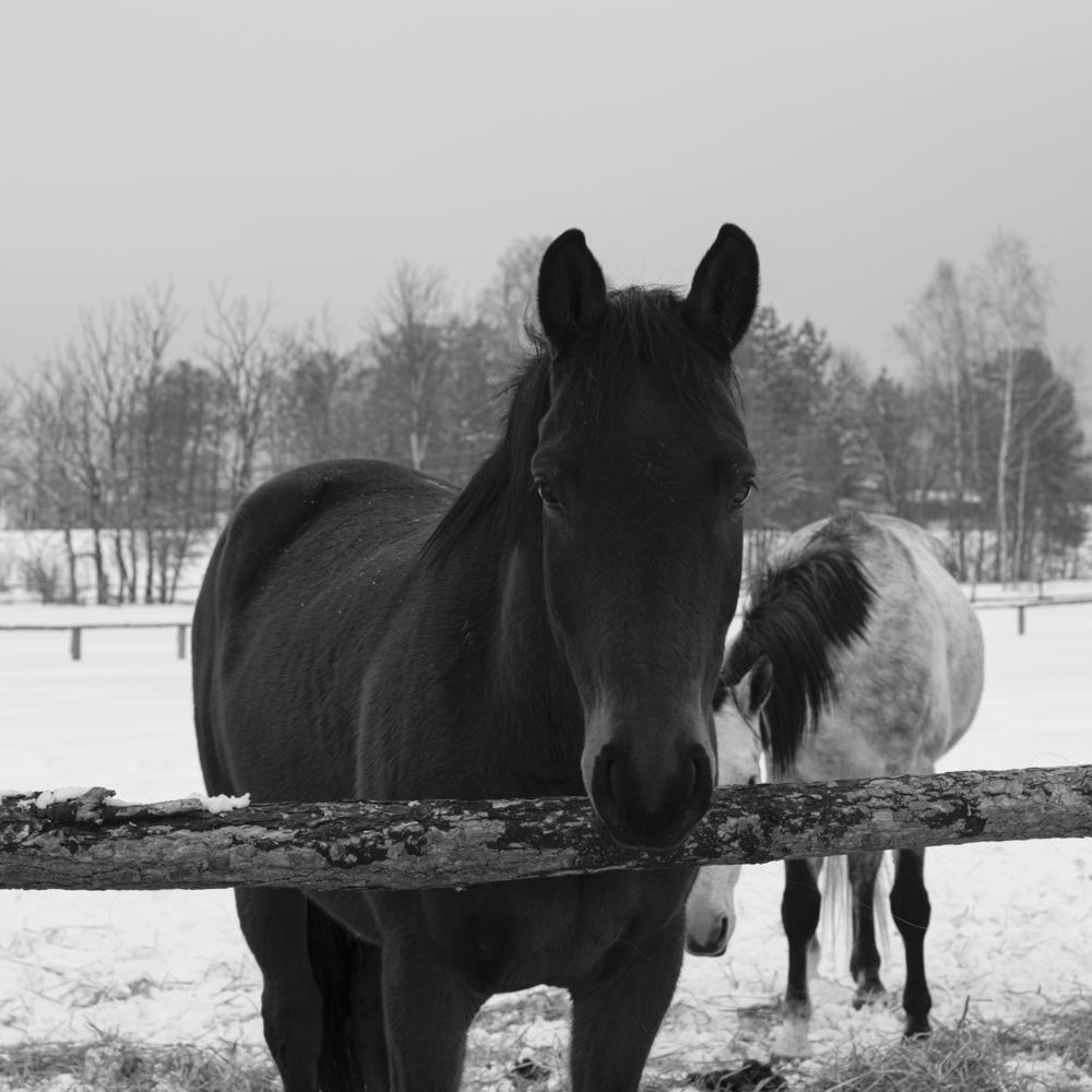 Photograph by Светлана Зайкова