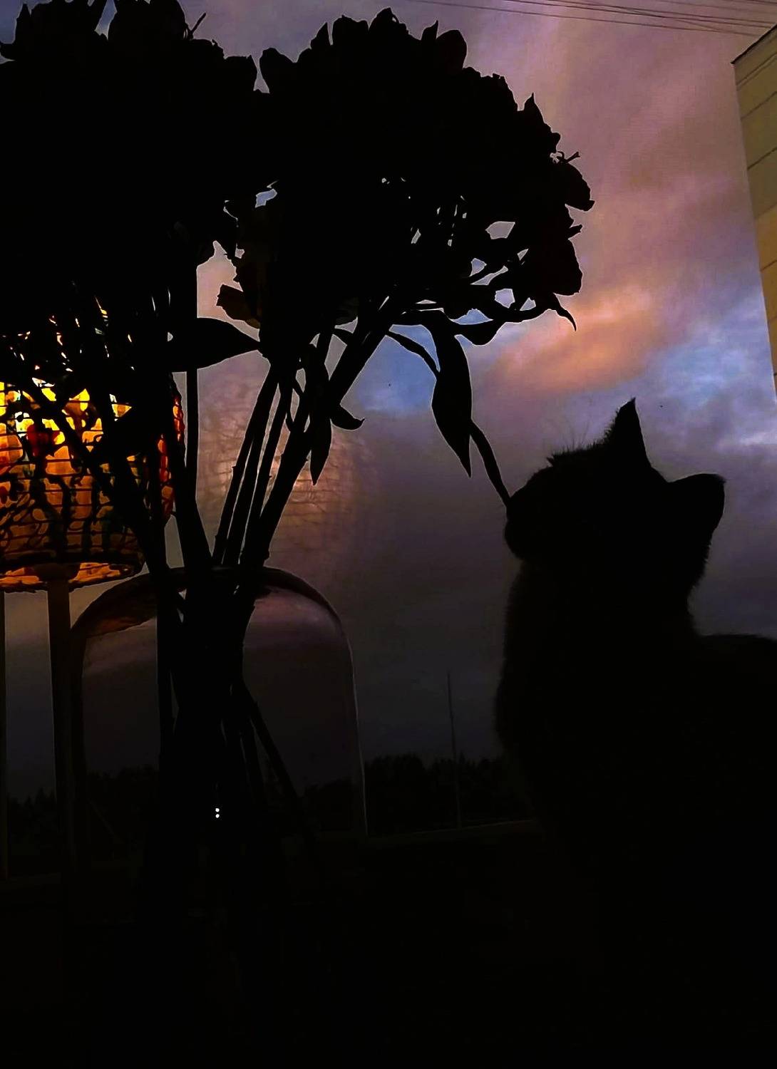 История одного вечера История одного вечера