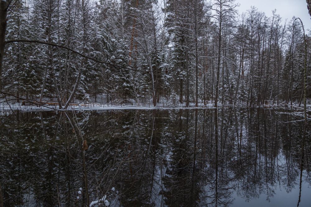 Photograph by Владимир Бессолицын
