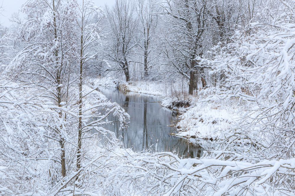Photograph by Владимир Бессолицын