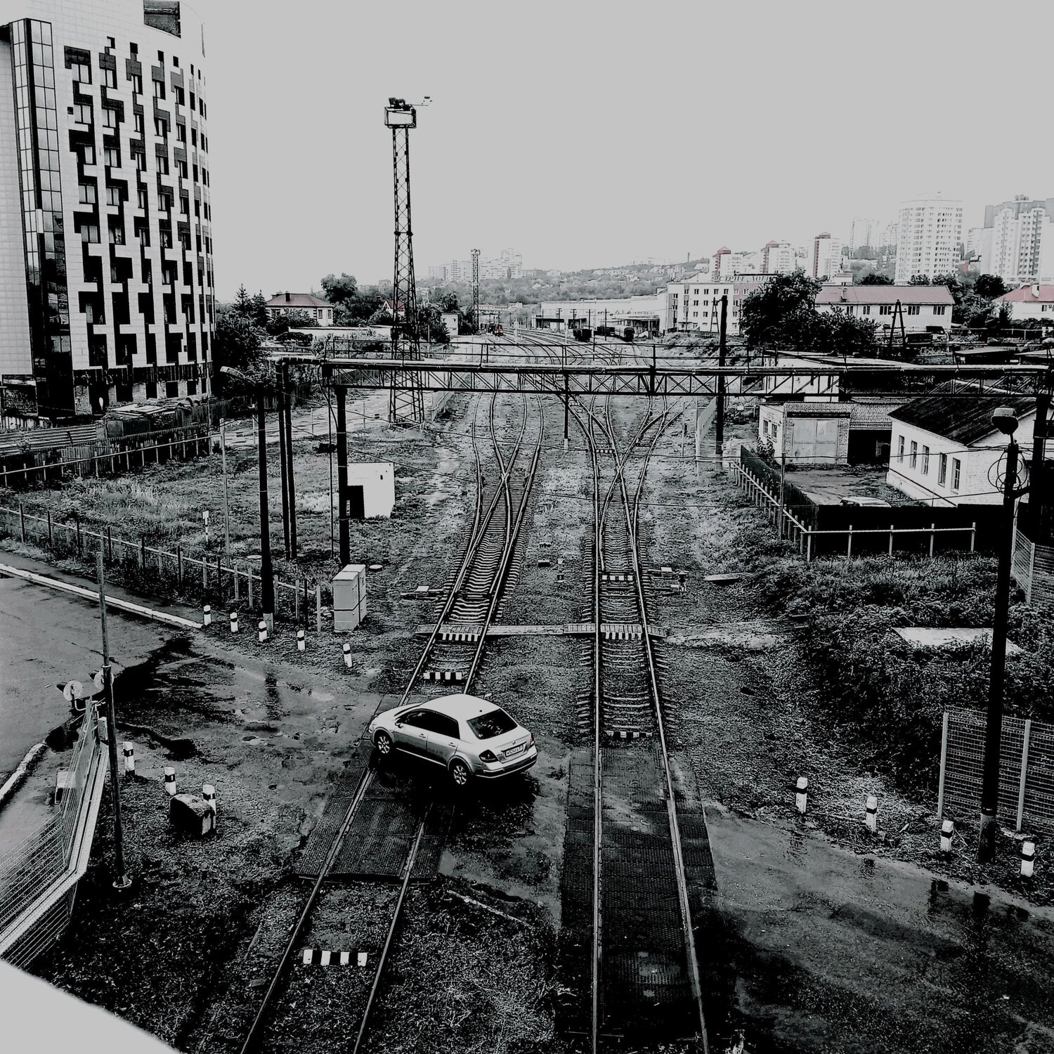 Photo #13375861