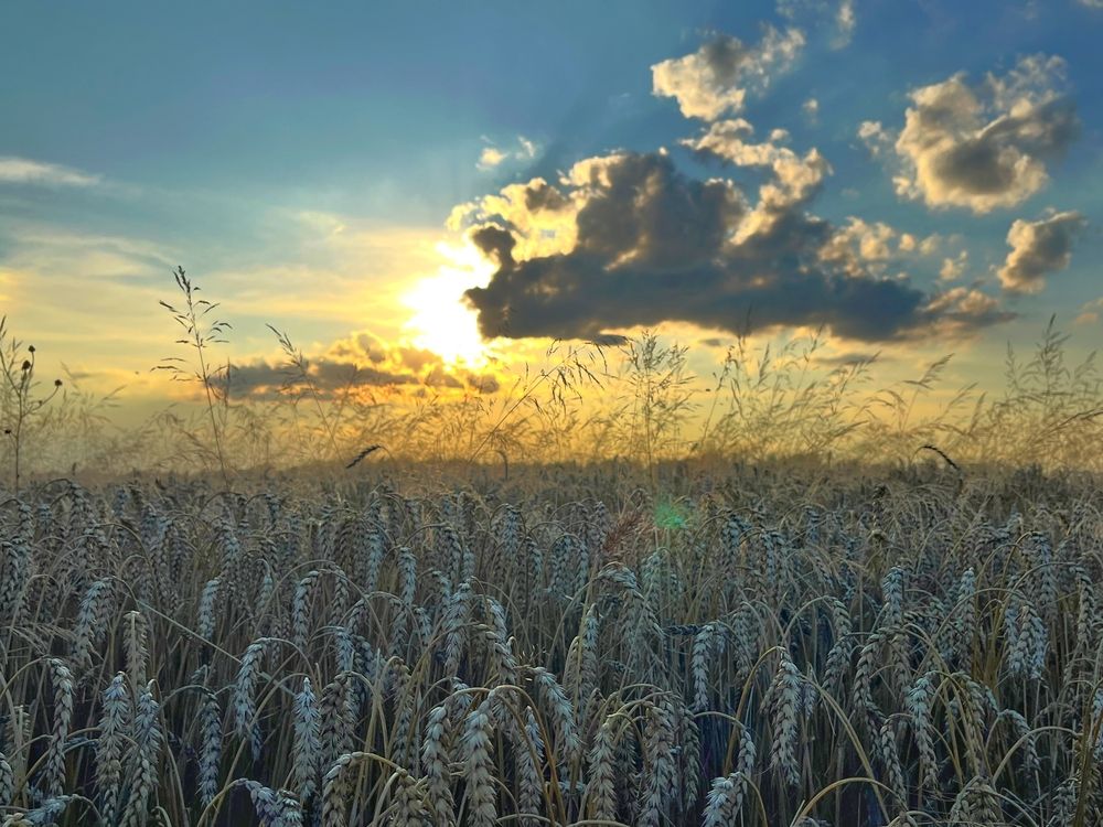 Photograph by Анна Богданова
