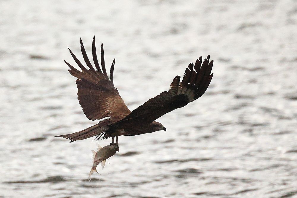 Photograph by Владилен Панченко
