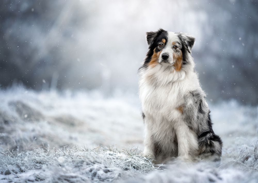 Фотография автора Katalin Puskás