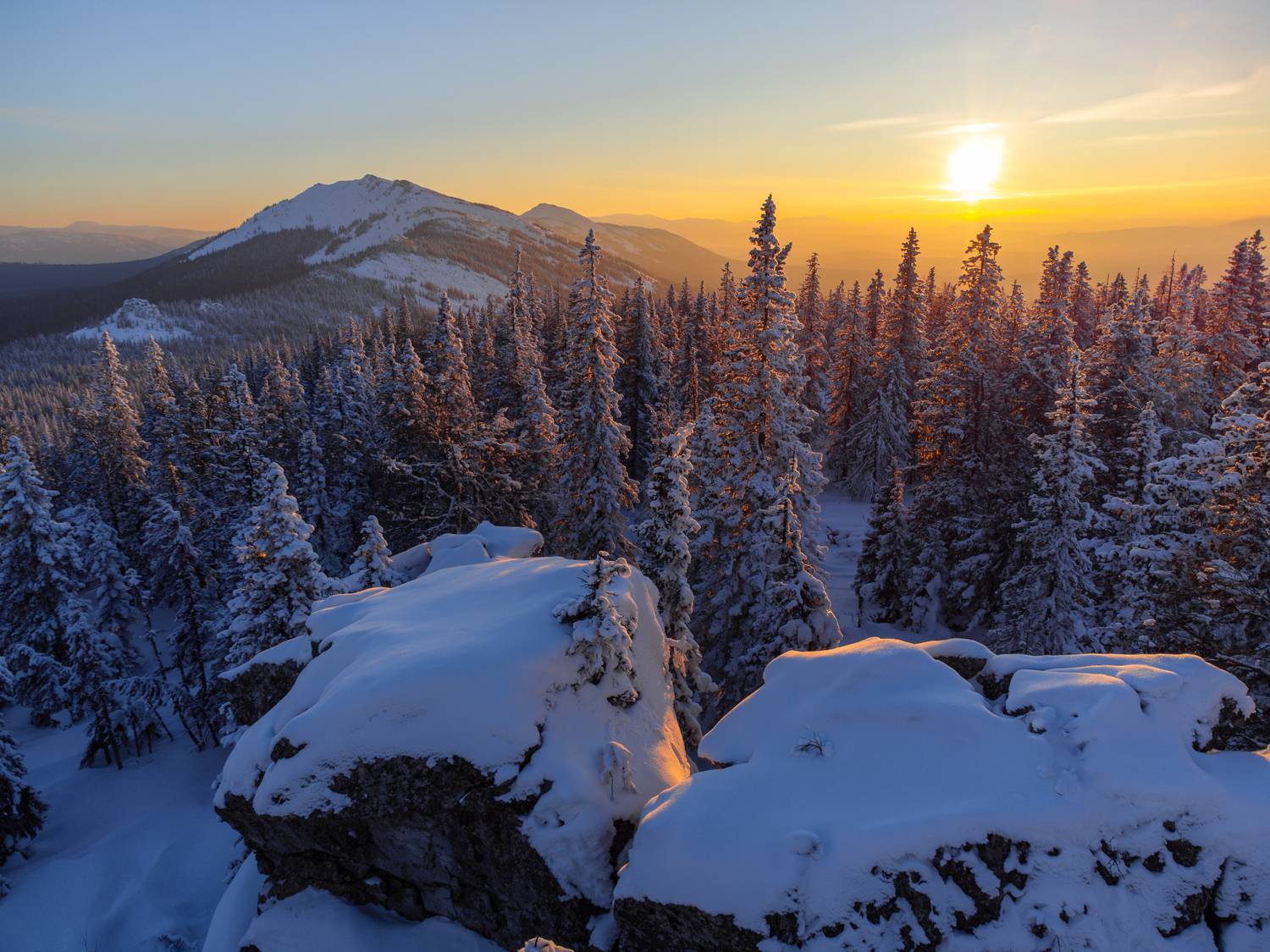 Фотография #13376016