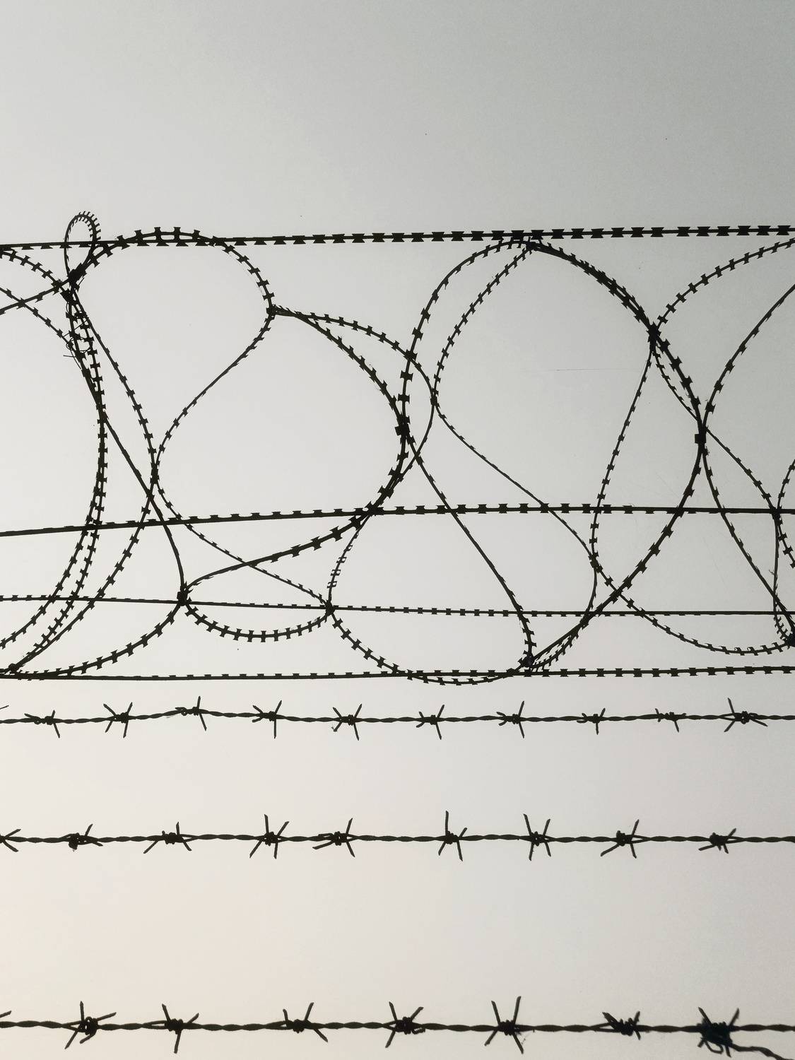 Wired Boundaries Wired Boundaries