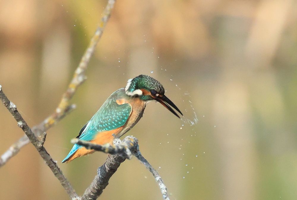 Photograph by Владилен Панченко