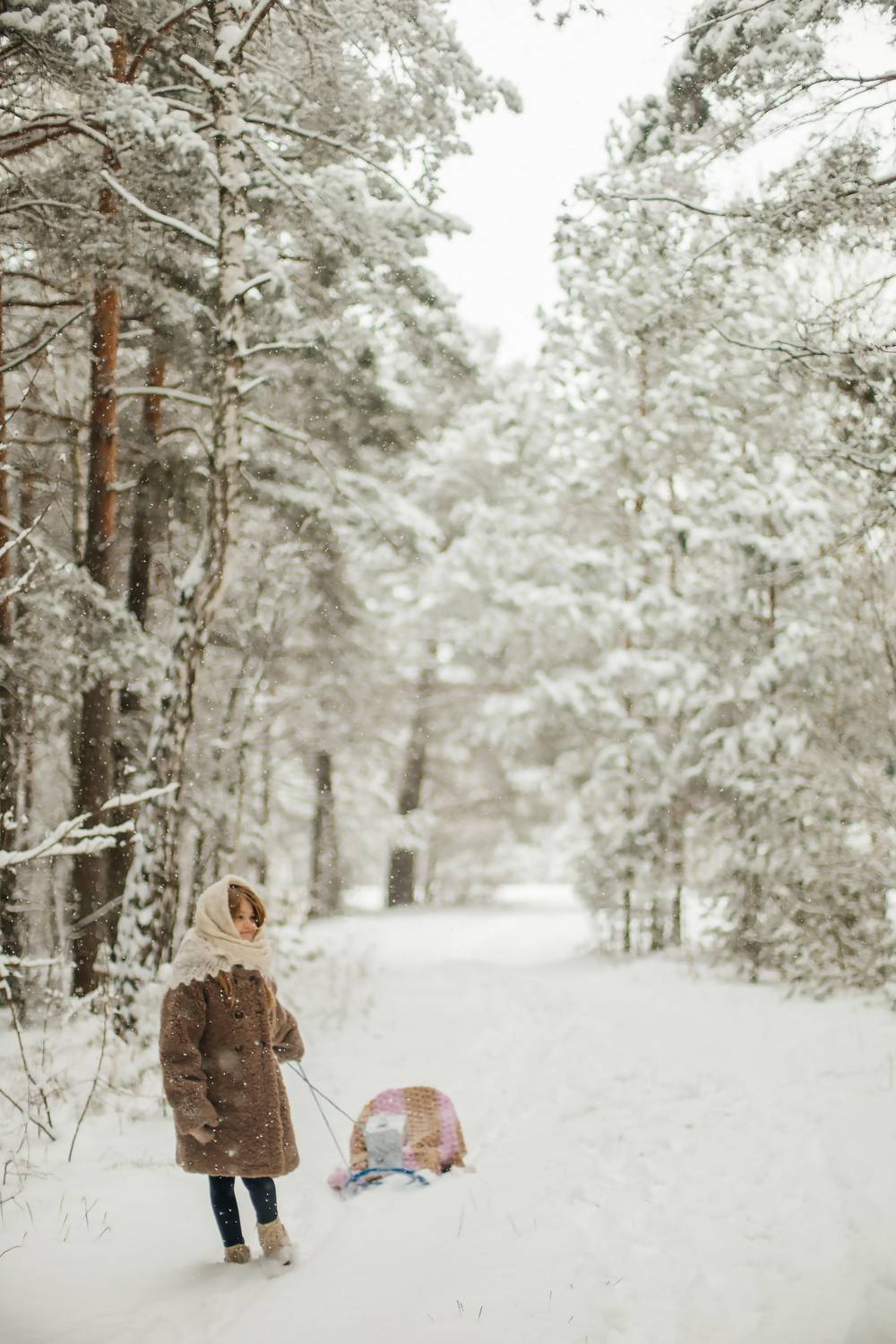 Photo #13376146