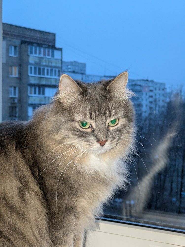 Фотография автора Ярослав Гунько