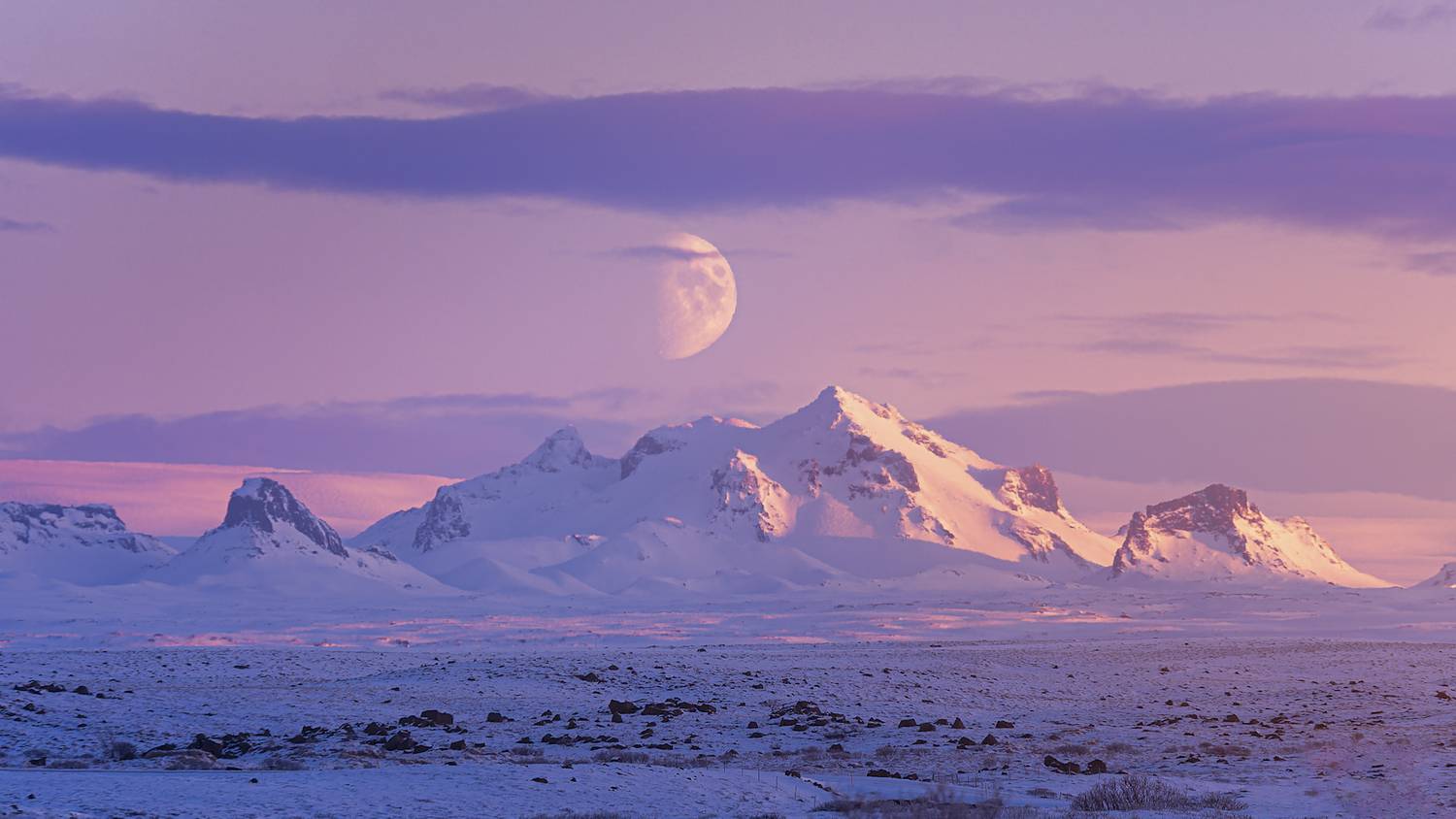 Фотография #13376161