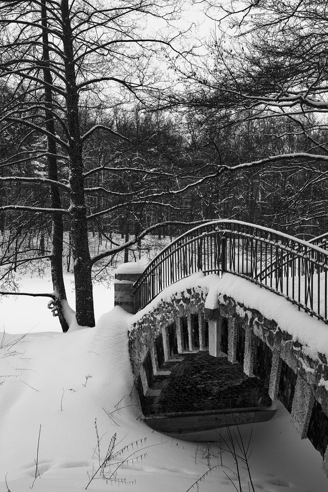 Photograph by Александр Луппов