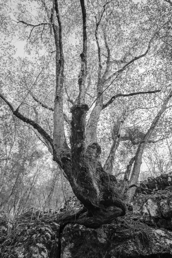 Photograph by Артём Гуцалюк