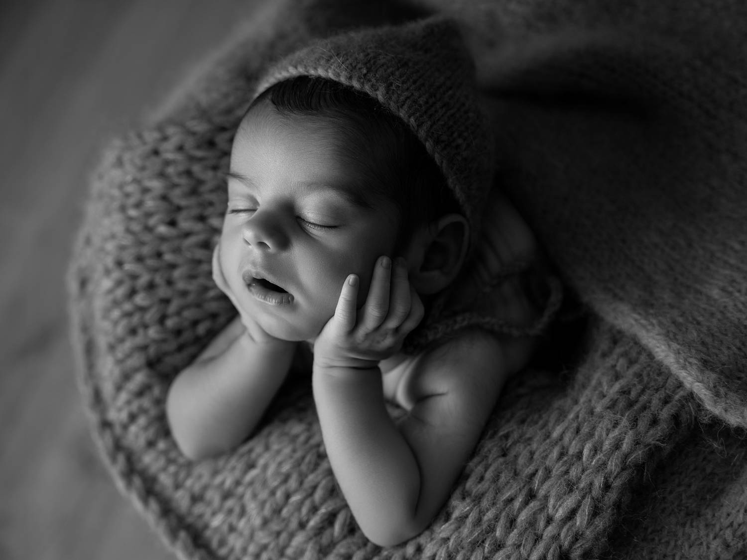 Фотография #13376280