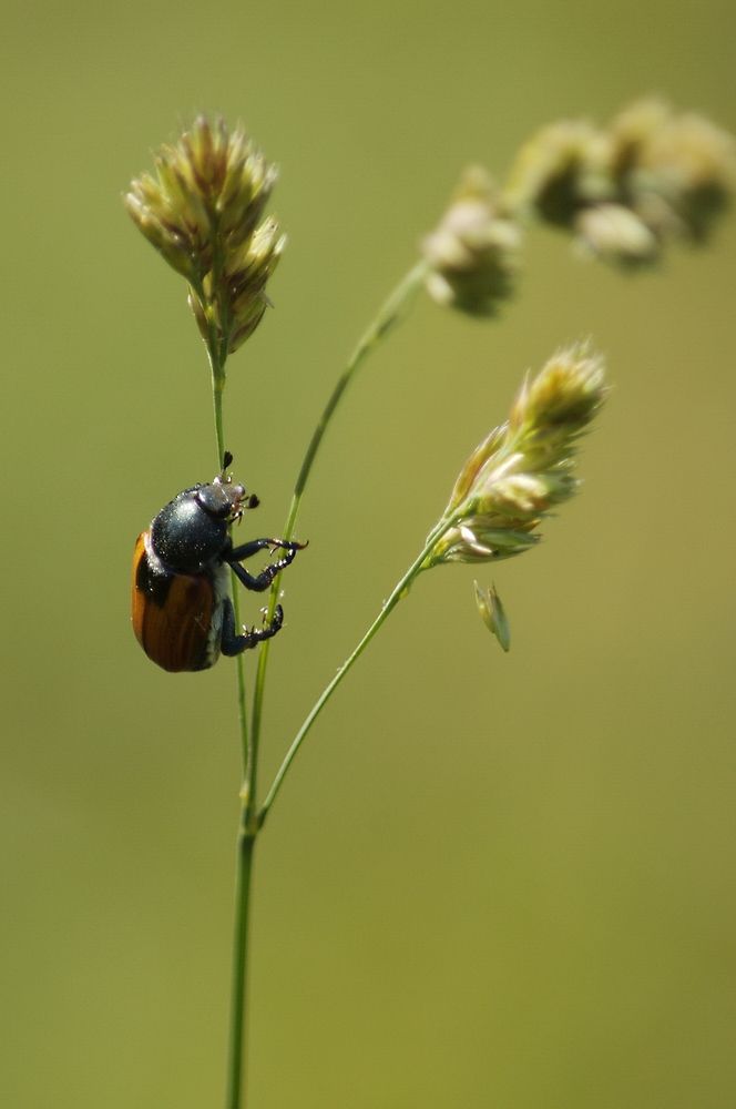Photograph by Владимир Новиков