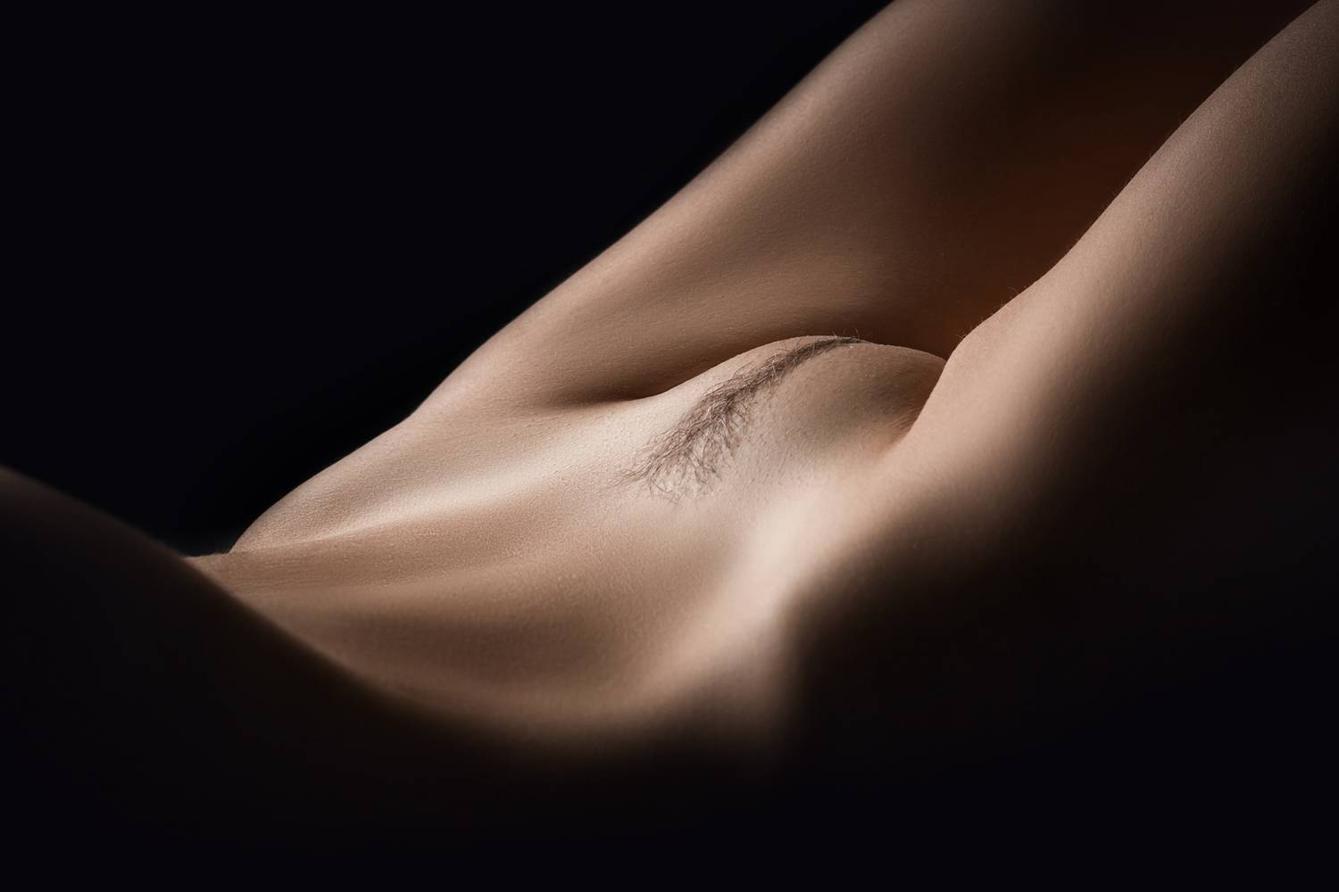 Фотография #13376390