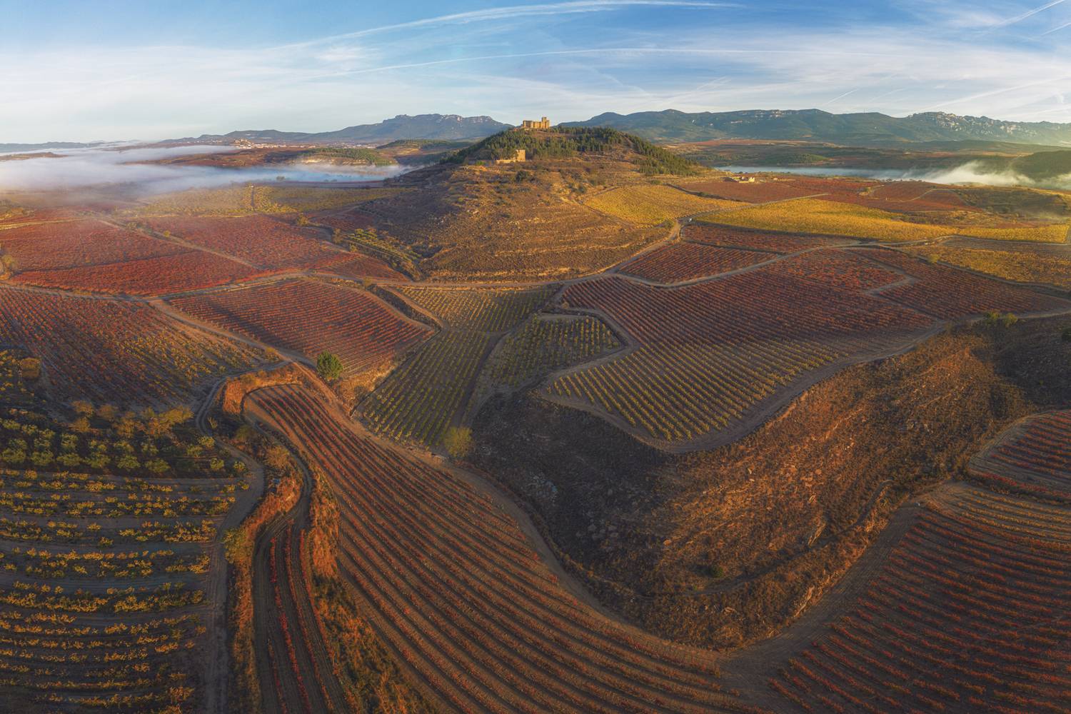 Фотография #13376445