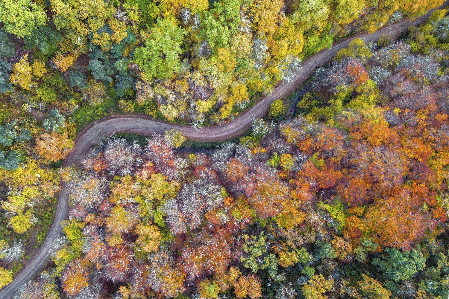 Фотография #13376458