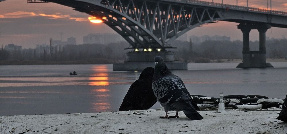 Photograph by Роман Карасёв