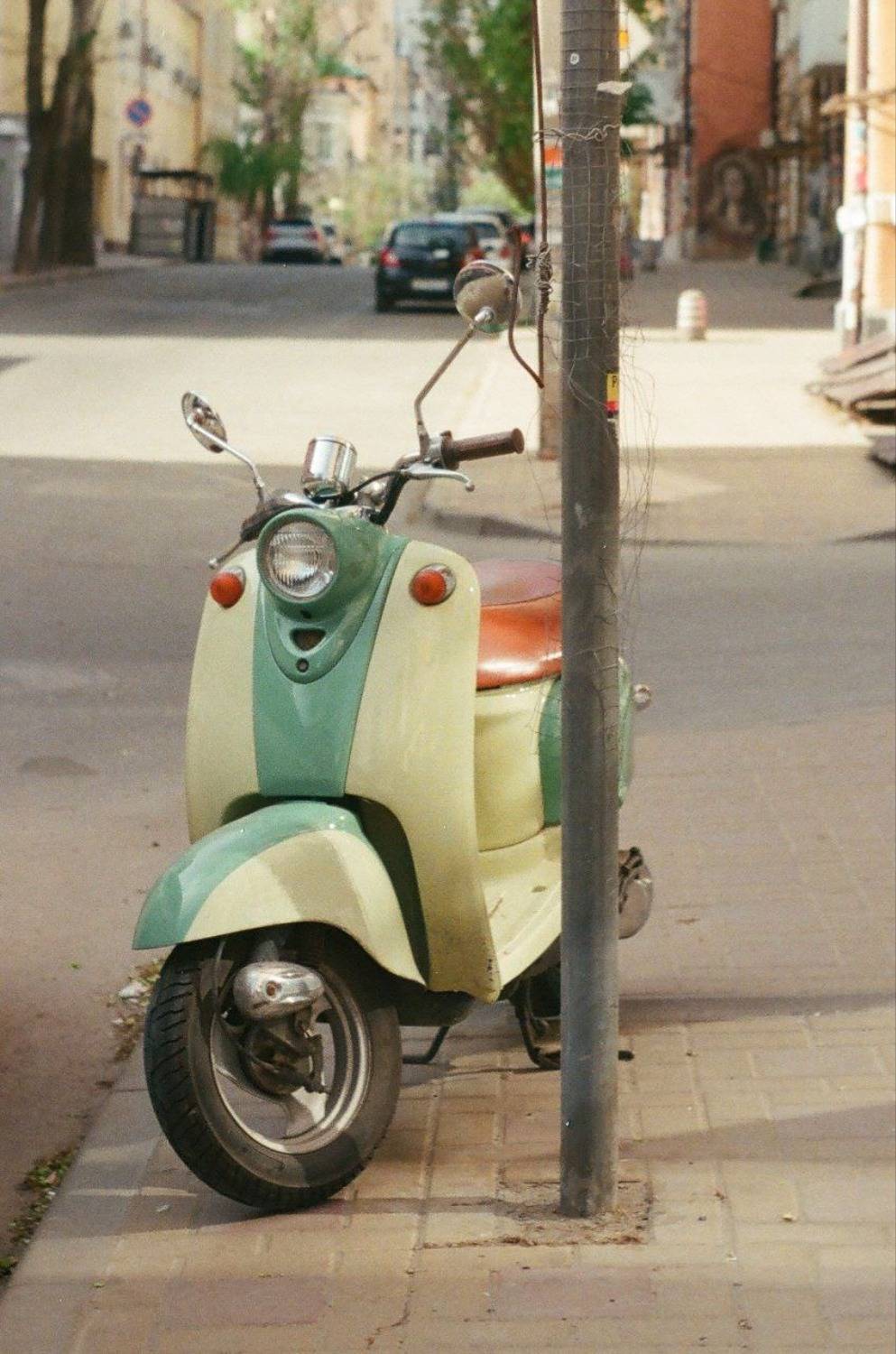 Фотография #13376532