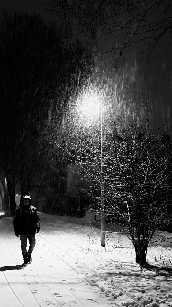 Photograph by Alena T
