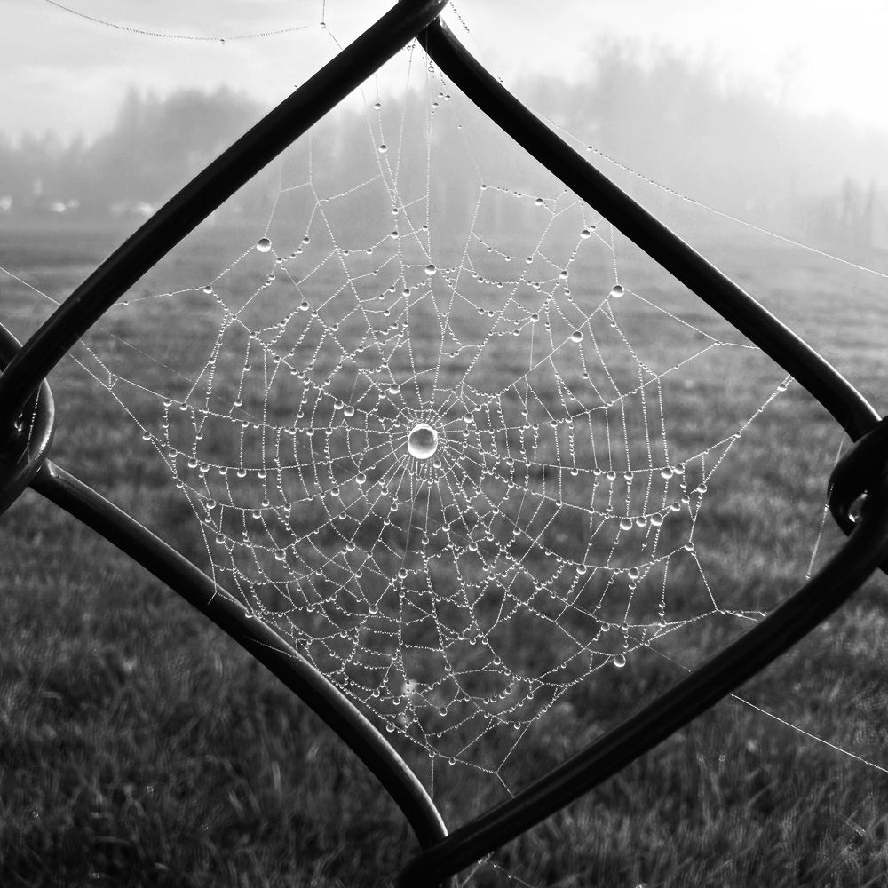 ideality in imperfection