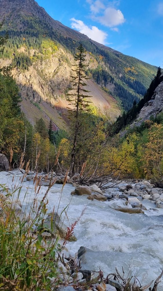 Photograph by Natasha