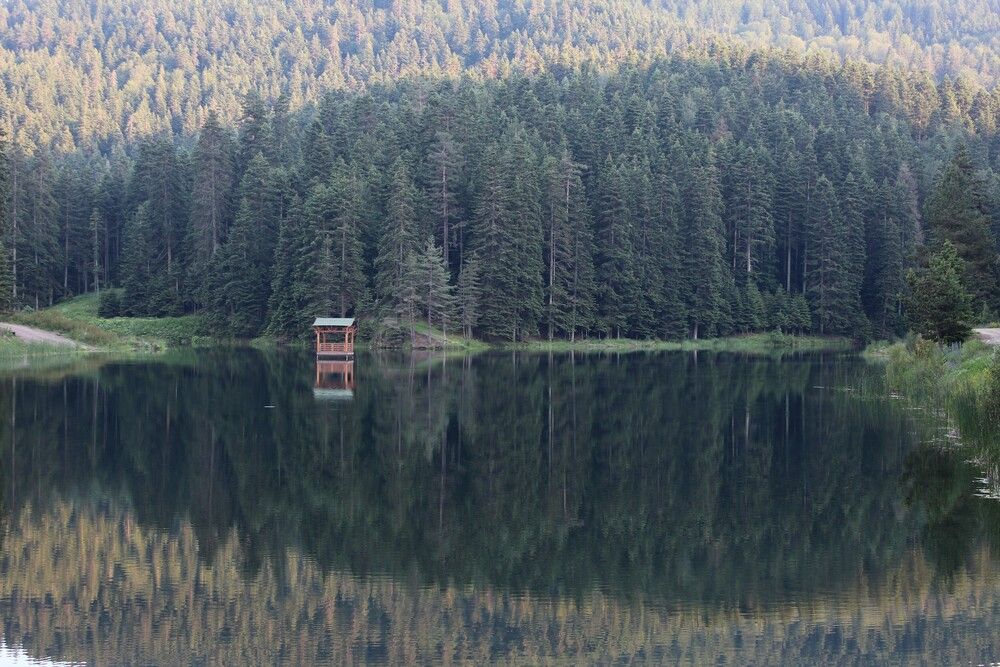 Photograph by Sümeyra Nur Demirtaş