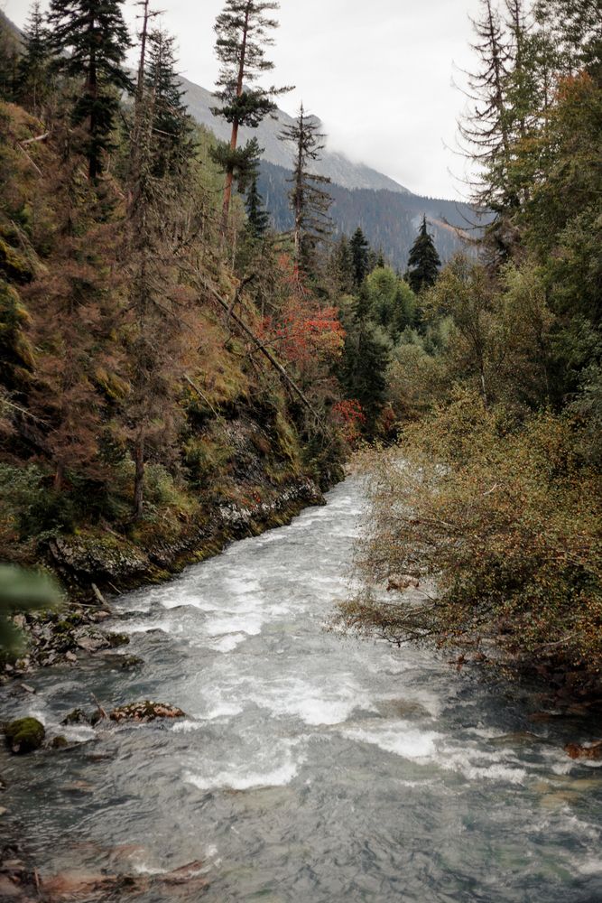 Фотография автора Нина Зайцева