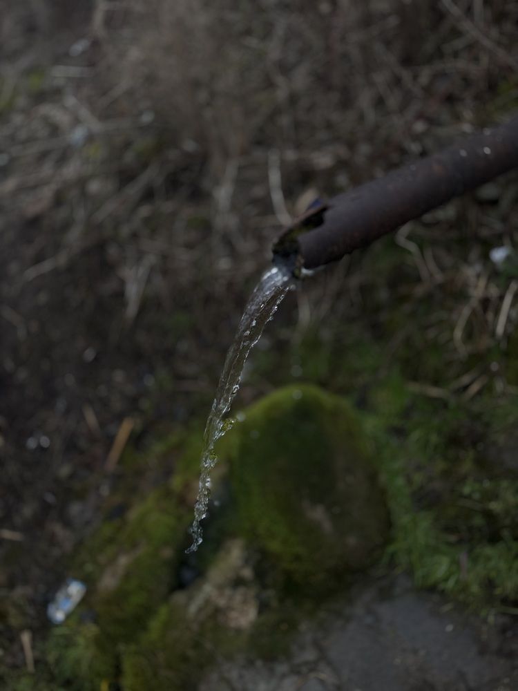 Photograph by Татьяна Любич