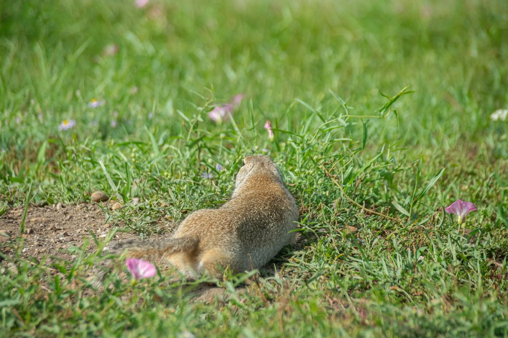 Photograph by Елизавета Корнилова