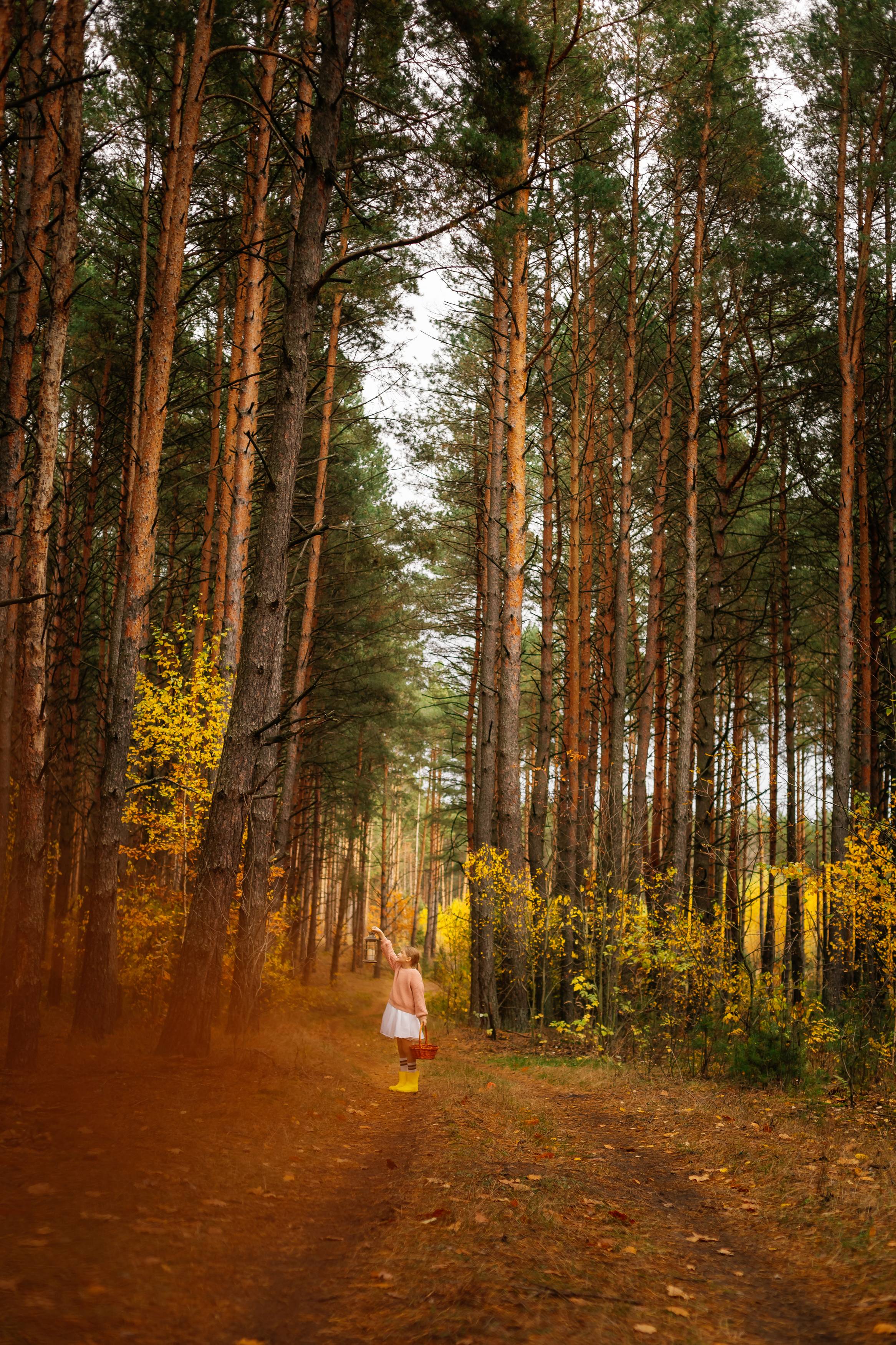 Фотография #13376764