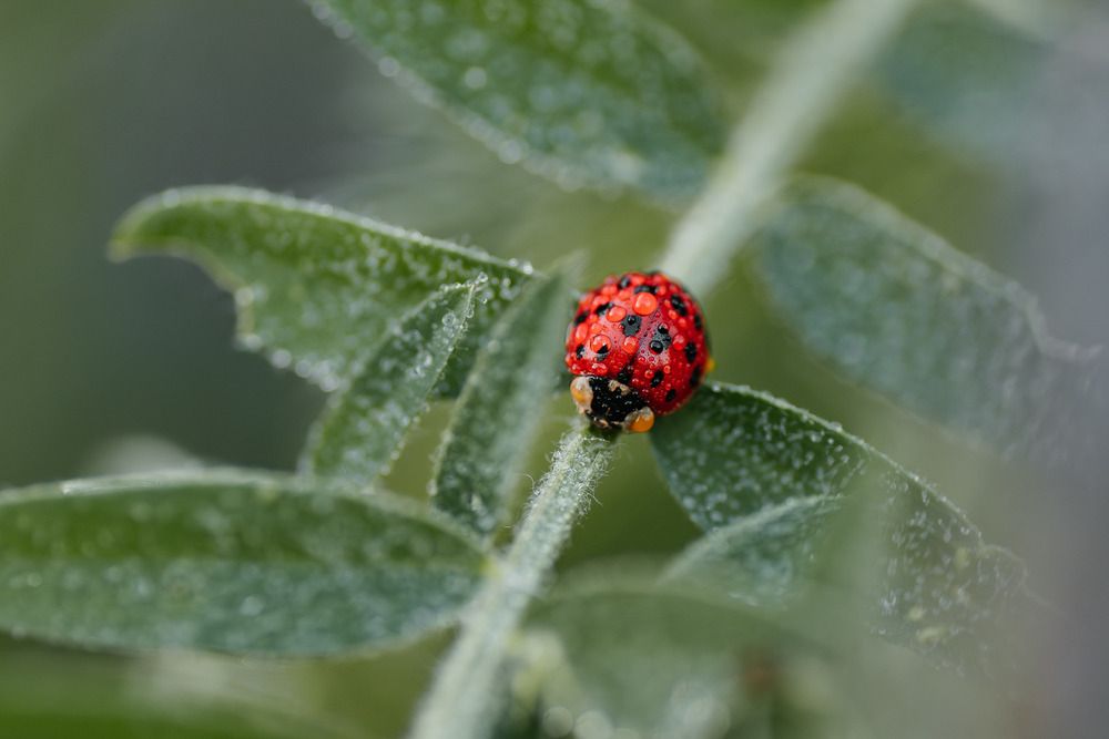 Photograph by Анна Бобкова