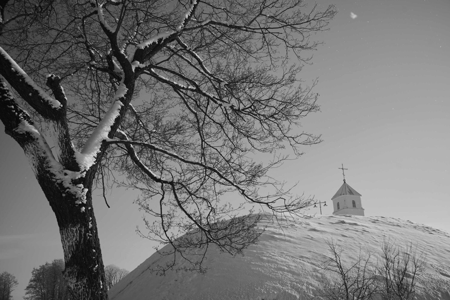 Photo #13376838