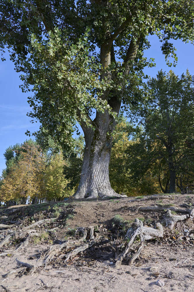 Photograph by Михаил Тумилович