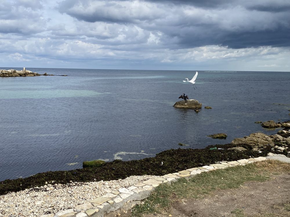Photograph by Михаил Хромаков