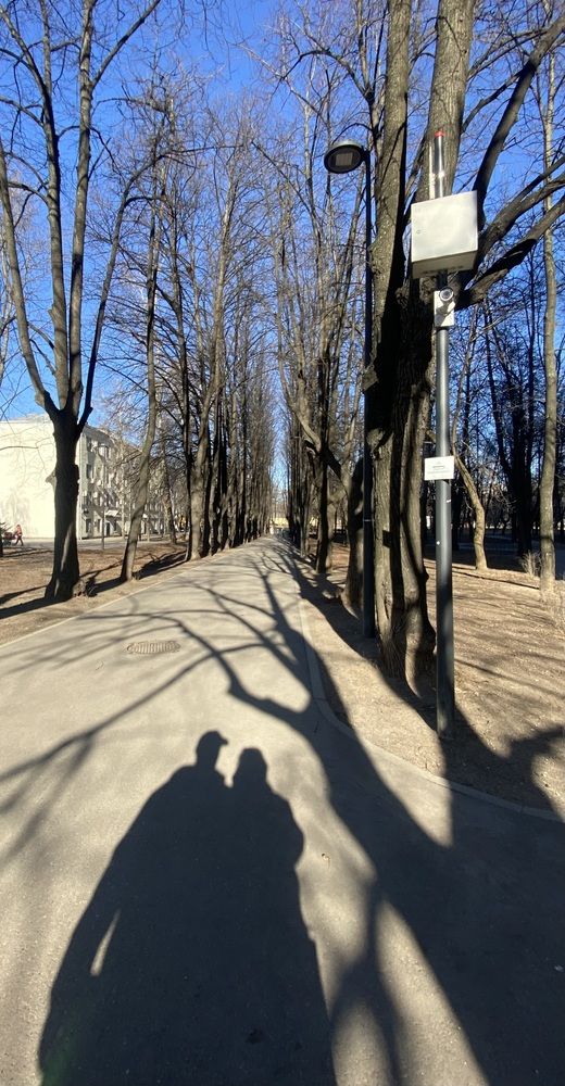 Фотография автора Наталья Мартынова