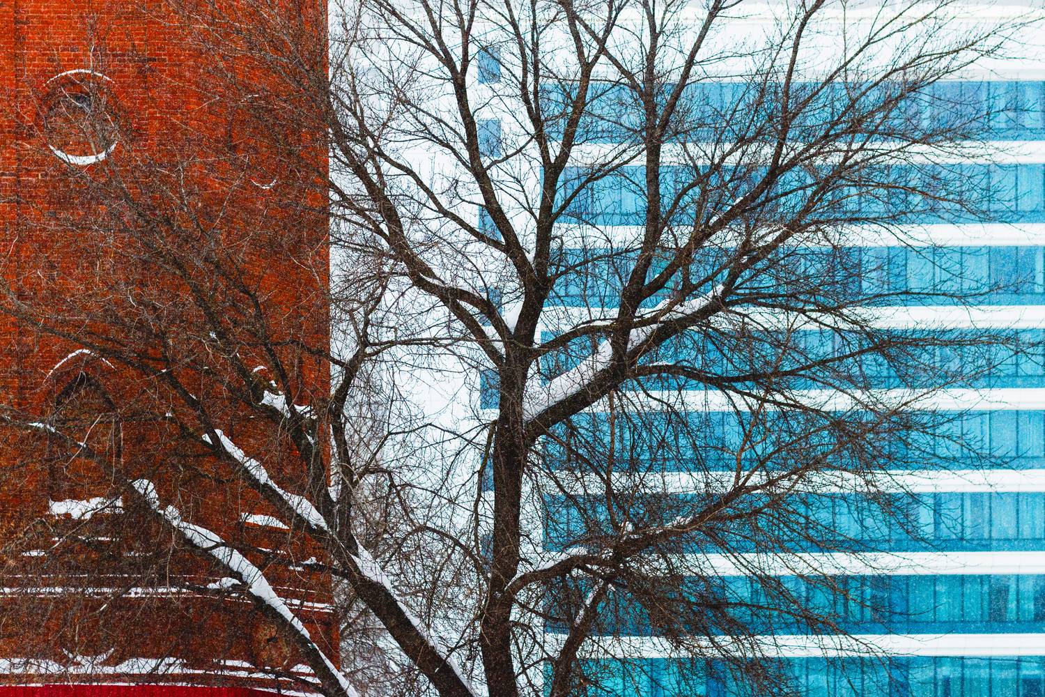 Фотография #13377030