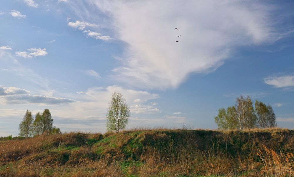 Photograph by Евгений Трофимов