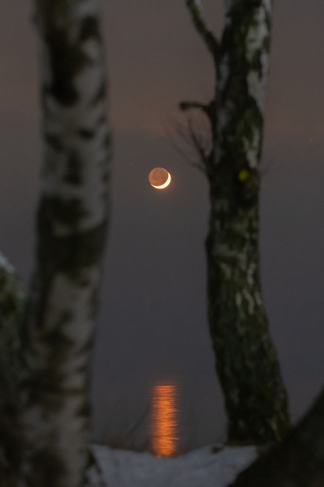 Photograph by Константин Чижов