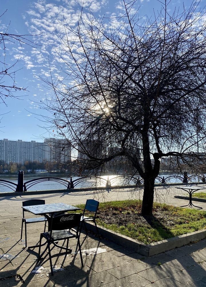 Фотография автора Наталья Мартынова