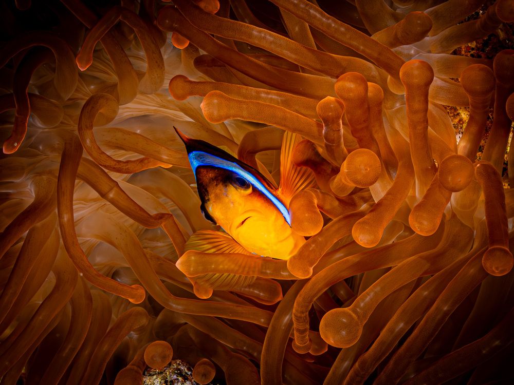 Photograph by Plakida Alexander