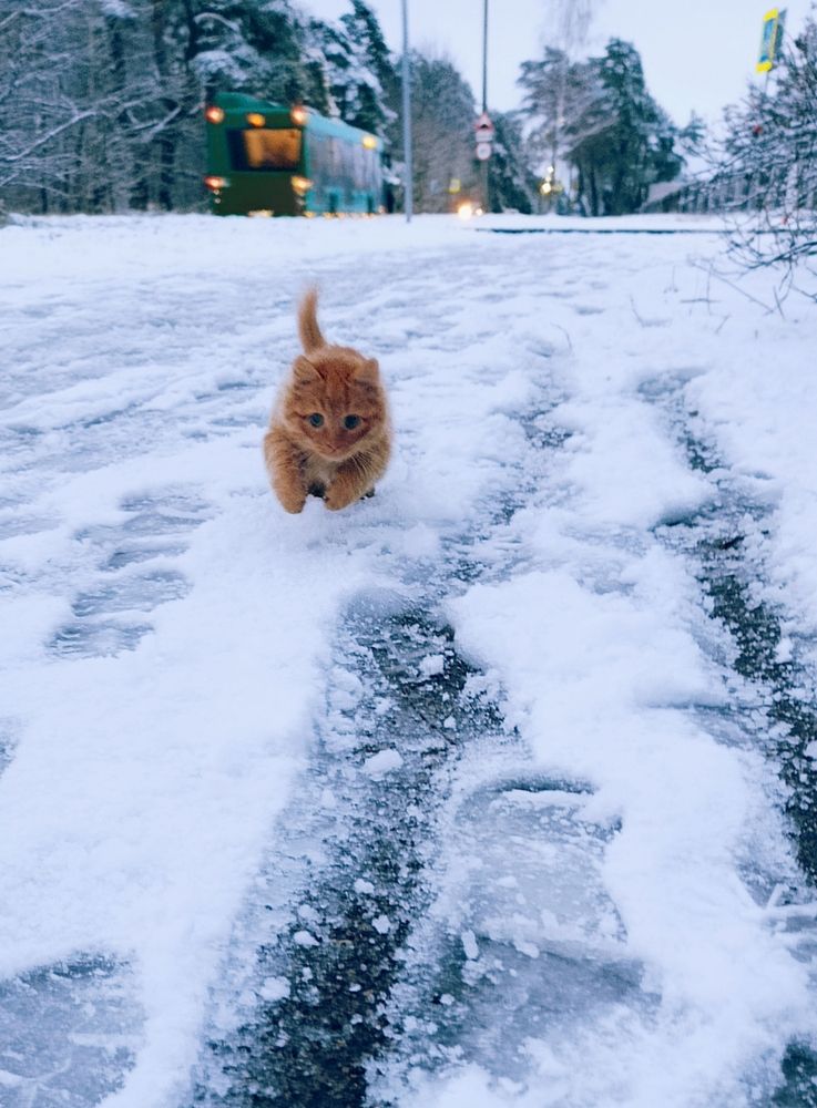 Photograph by Ирина Сыровежкина