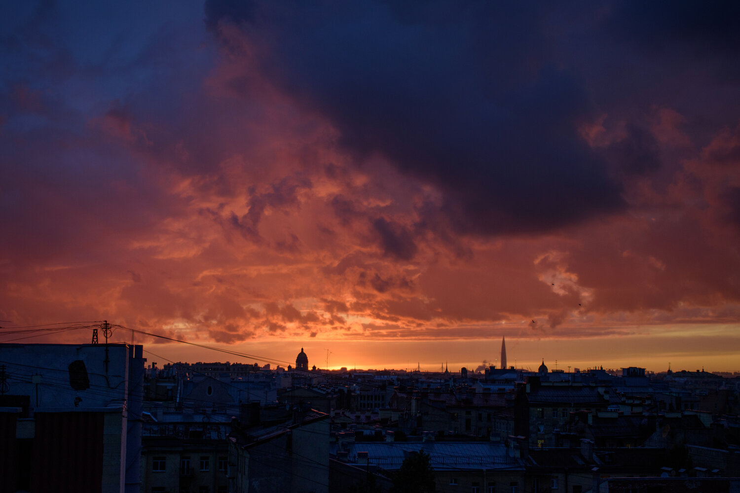 Photo #13377390