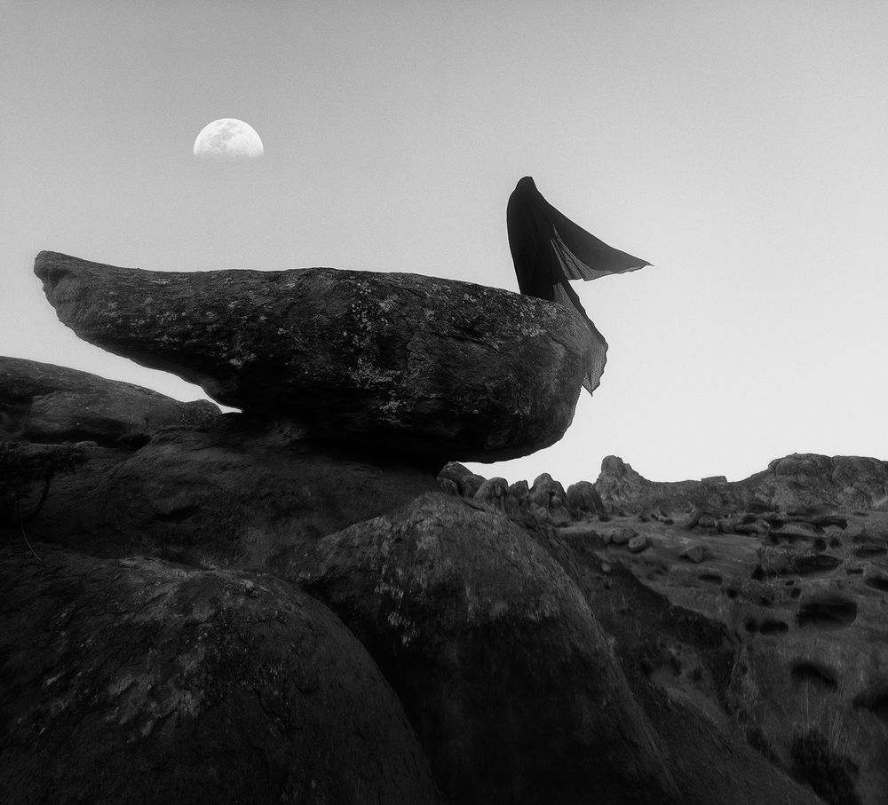 Фотография автора Farzad Ajori