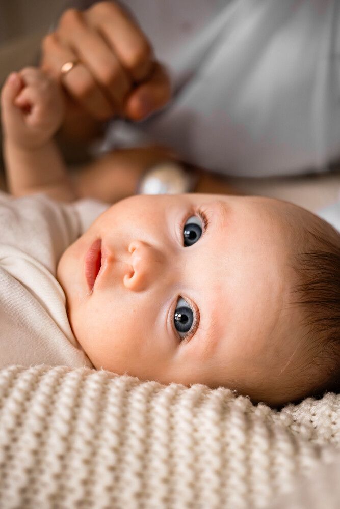 Photo #13377454