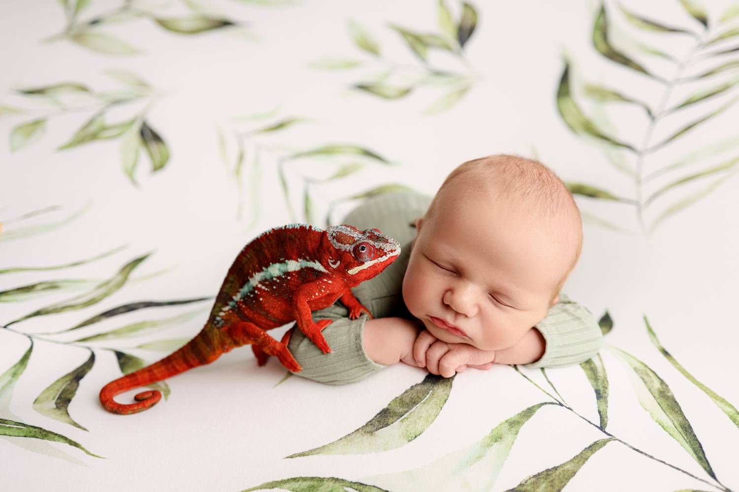 Photo #13377503